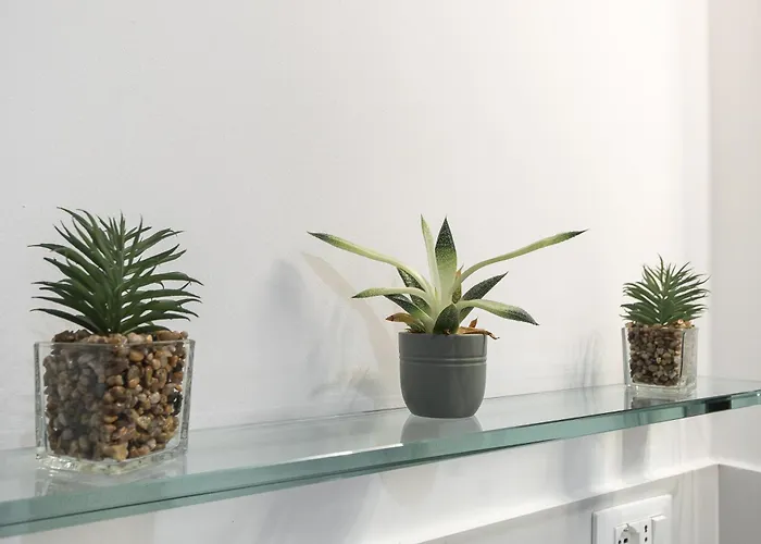 Apartman Il Sogno A Due Passi Dal Mare Vicino Portofino Rapallo